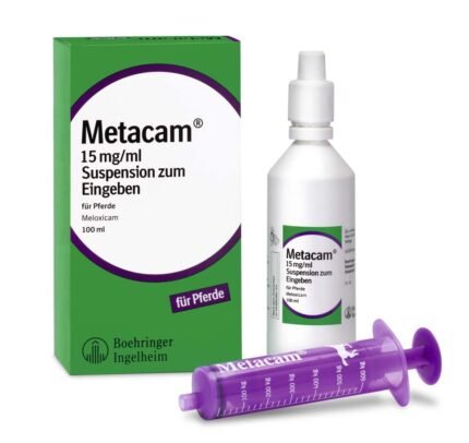 Metacam Paard Kopen